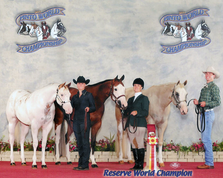 get of sire pinto world show